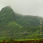Green Fog Guesthouse