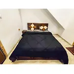 Mane 2Bhk Villa Lonavala