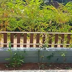 Mizzle Exotica Lonavala