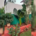 Angel House -Your Private Pet Friendly Haven