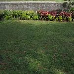 Hotel Ferreira Resort