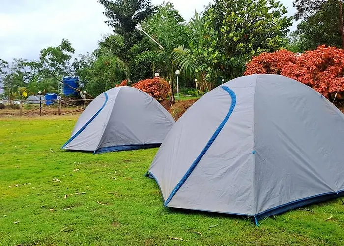 Camping In Pawna Lake