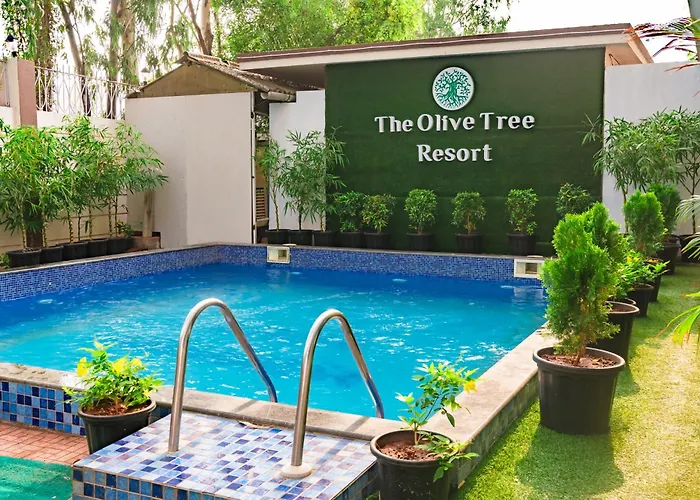 Olive Tree Resort, Lonavala