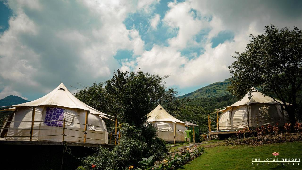 Luxury tent The Lotus *