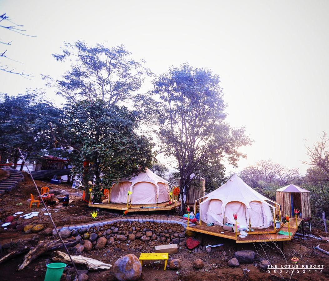 The Lotus Luxury tent