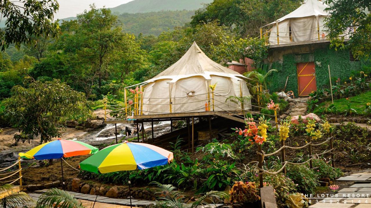 Luxury tent The Lotus