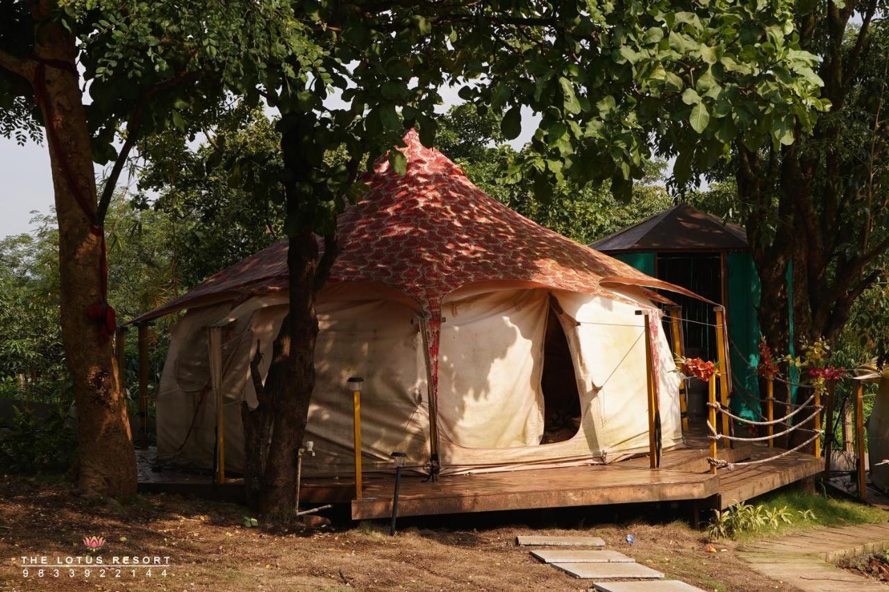 The Lotus Luxury tent