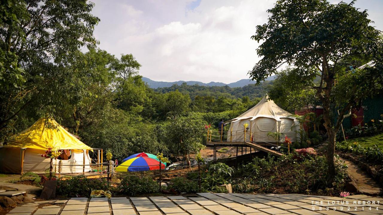 Luxury tent The Lotus *