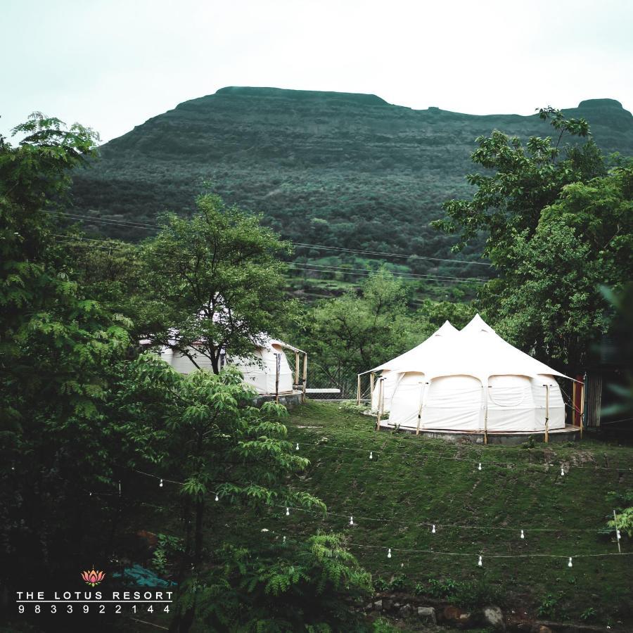 The Lotus Luxury tent