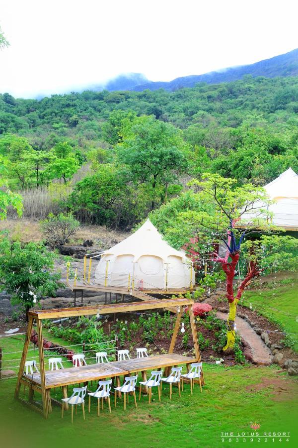 Luxury tent The Lotus