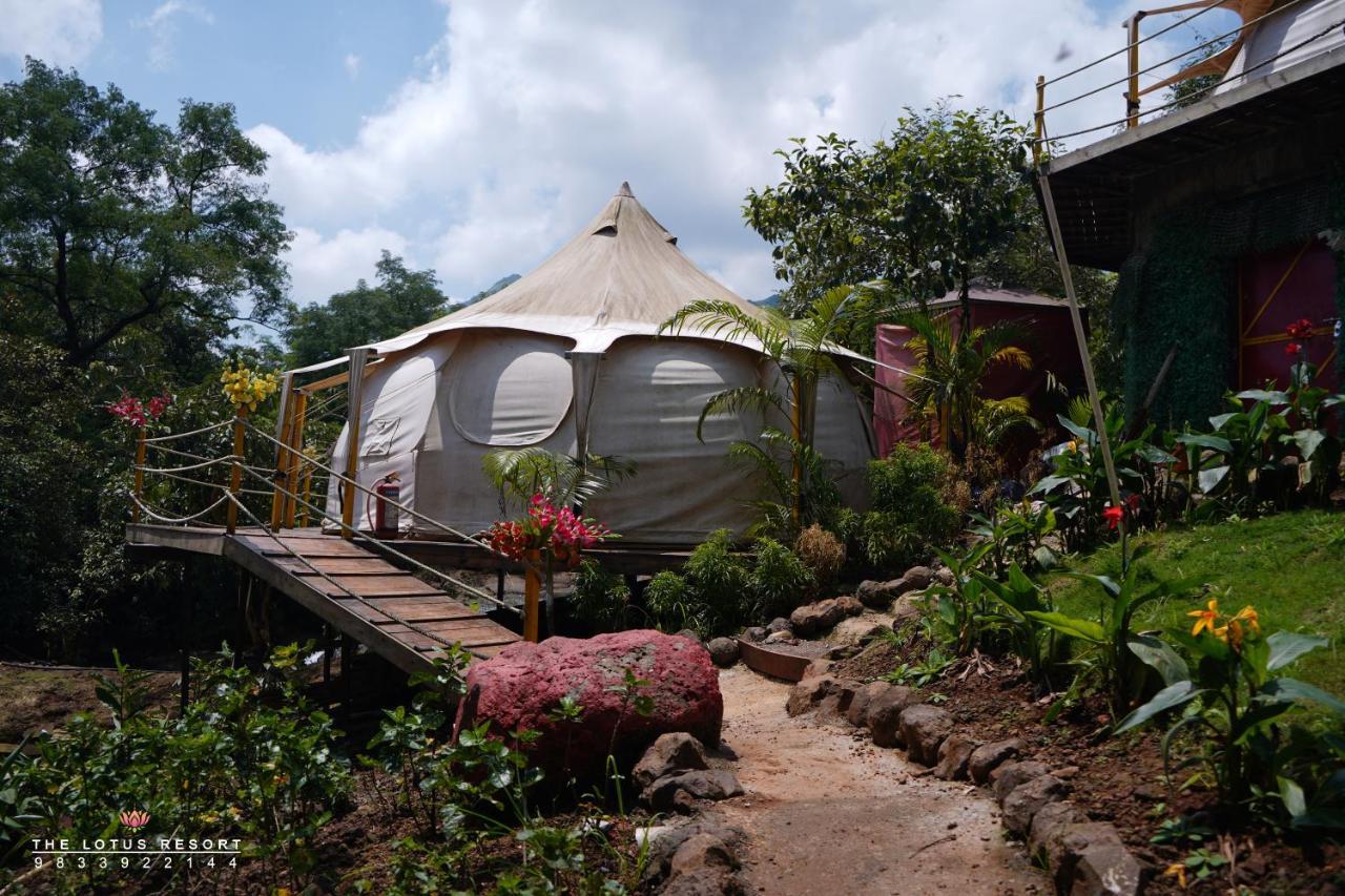 Luxury tent The Lotus