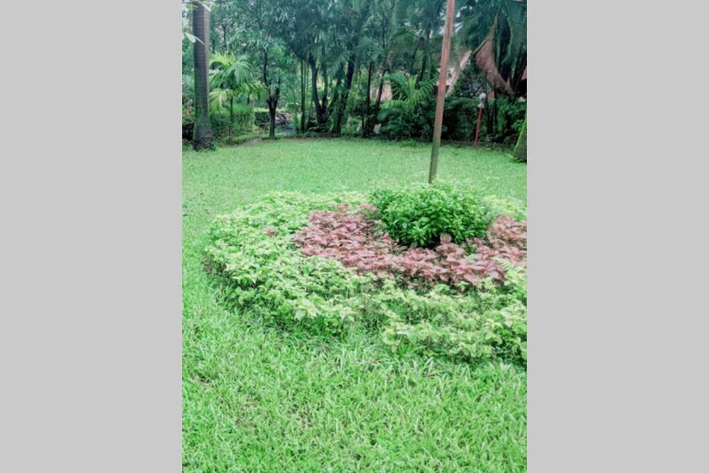 Holiday home Ivy Garden View, 2 Bhk Private House, *