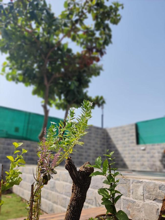 Villa Rose *