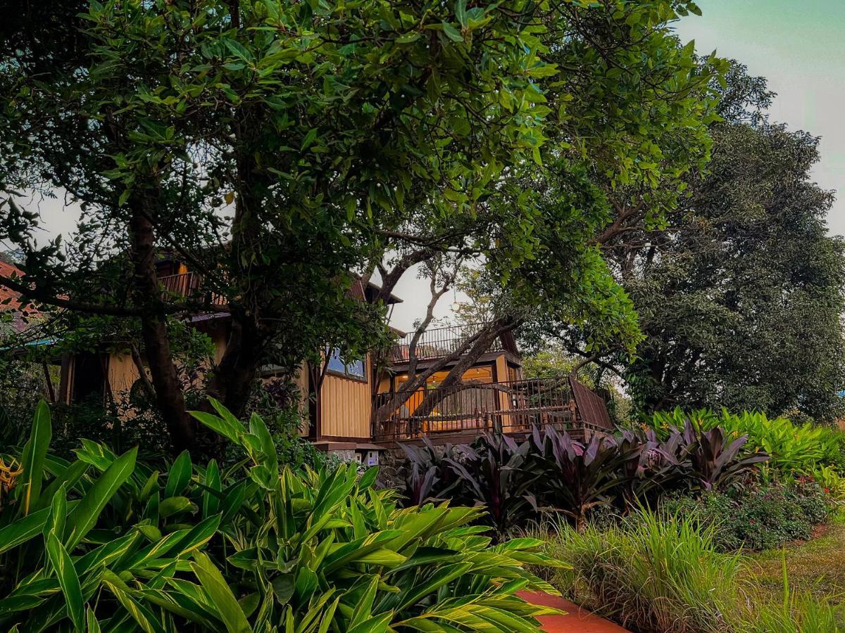 Resort Antheia Resorts, Pawna