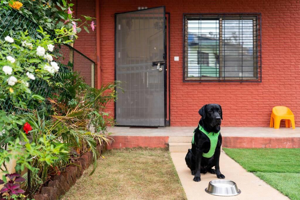 1bhk Pool 36