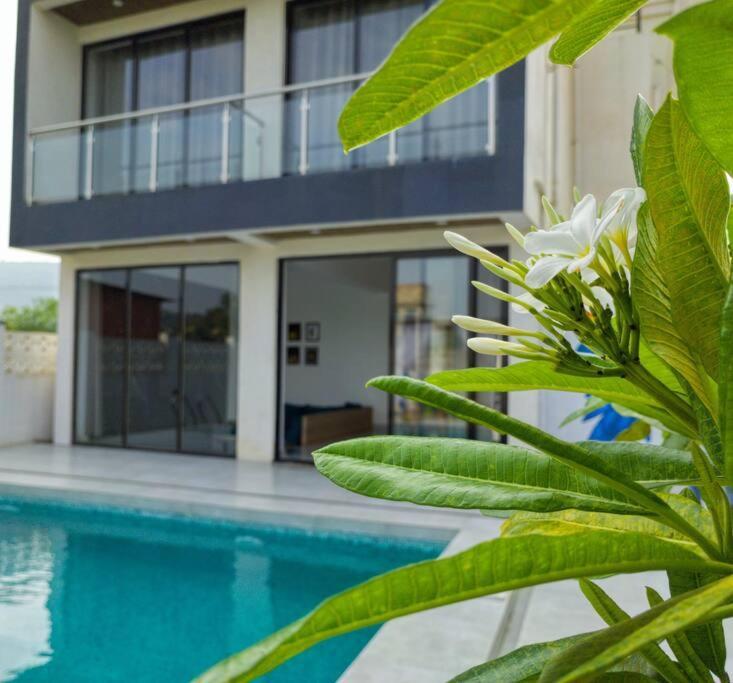 Littlewoods Iris Lonavala