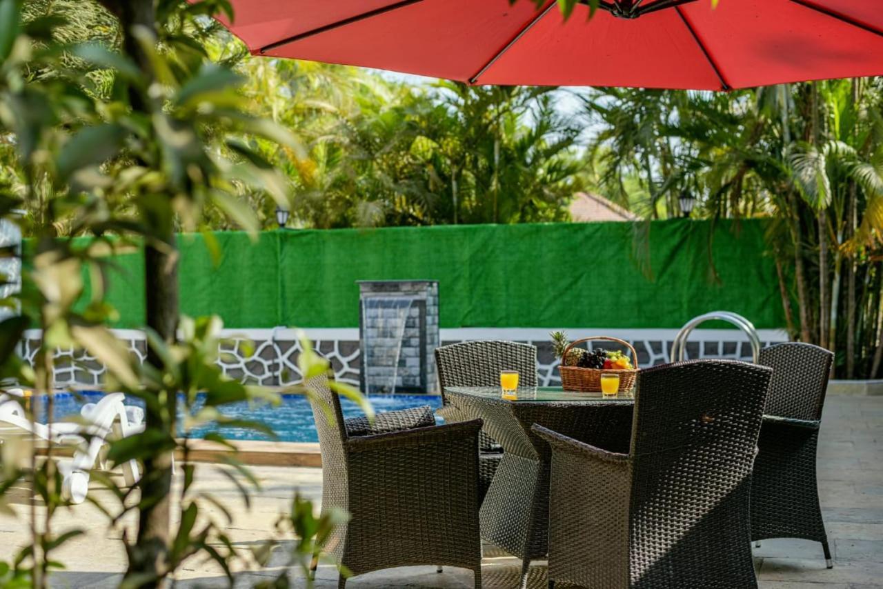 Redhomex Kingfushi *