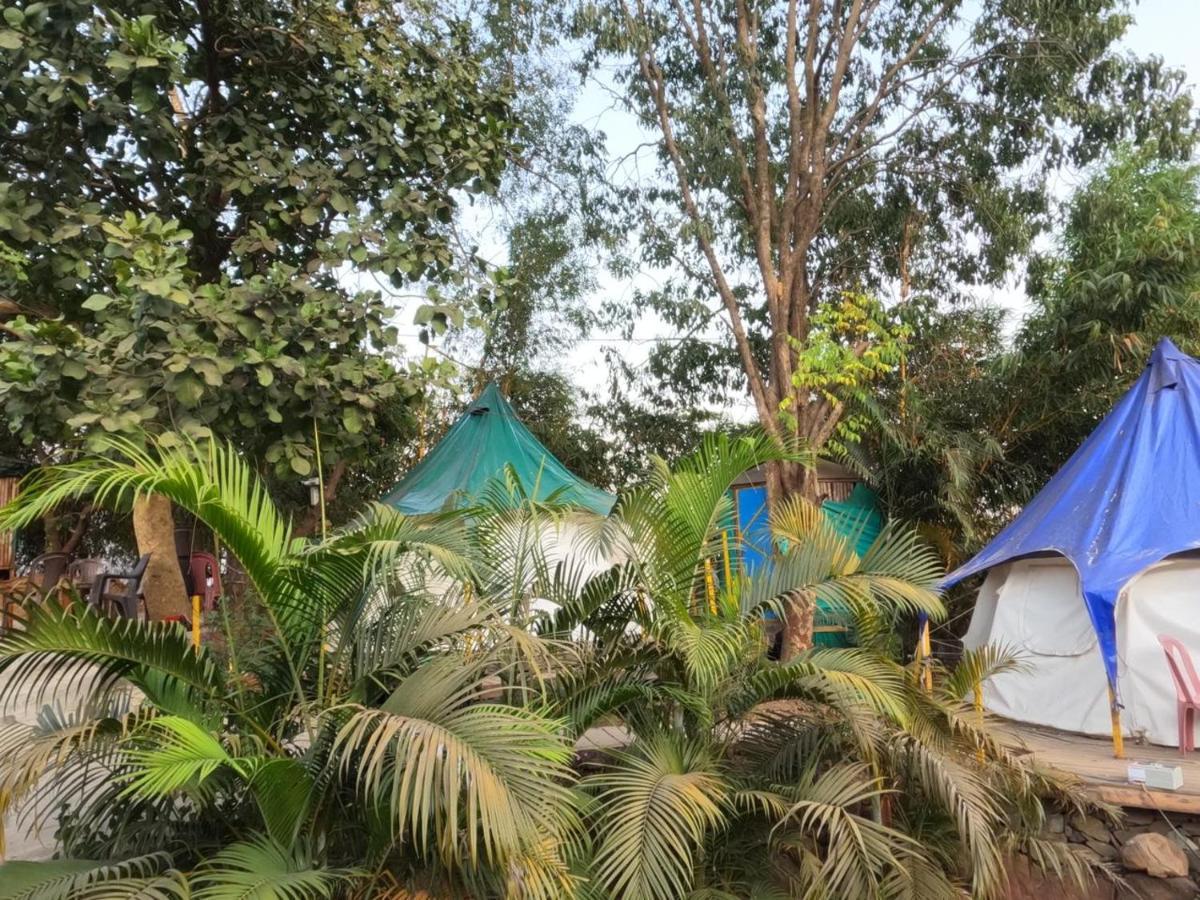 Luxury tent The Lotus *