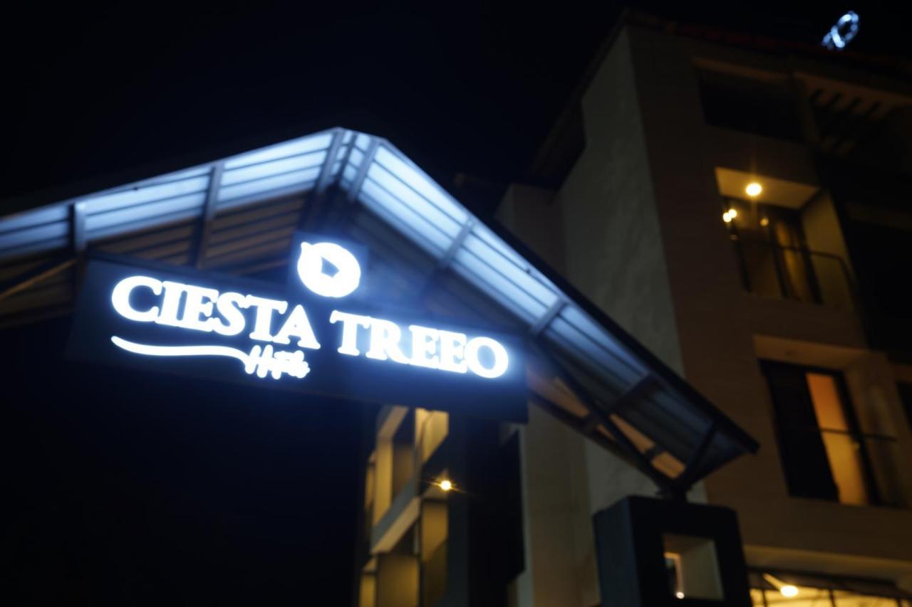 Resort Ciesta Treeo *