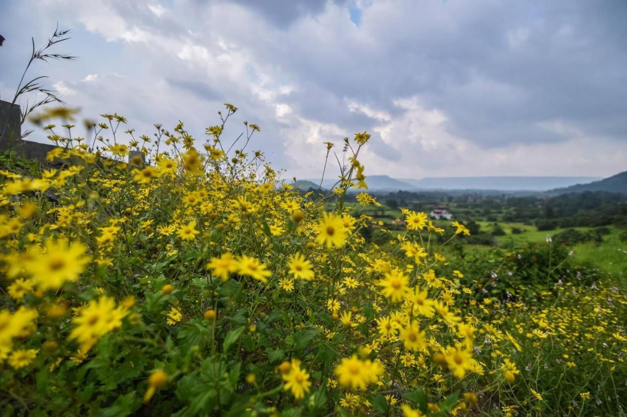 Colonial Pet Friendly 3 Bhk With Outstanding Views Villa *