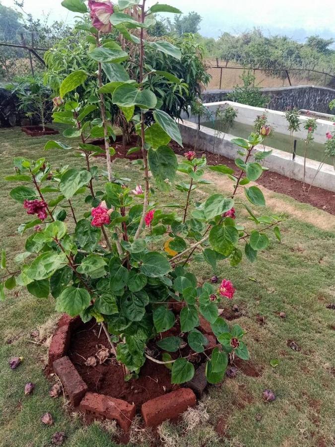 Colonial Pet Friendly 3 Bhk With Outstanding Views