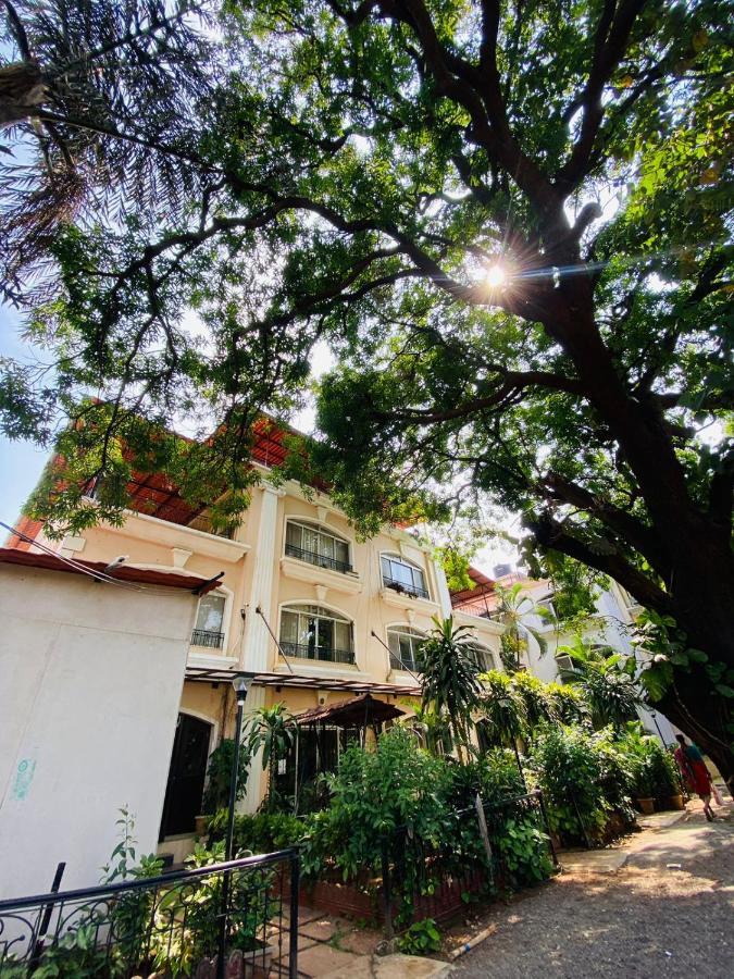 Ivy Pearl Row House No 3