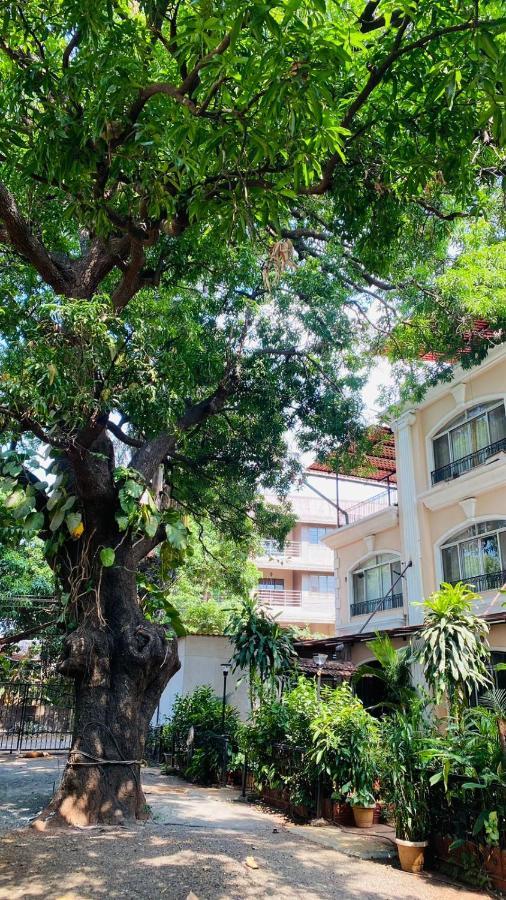 Holiday home Ivy Pearl Row House No 3 *