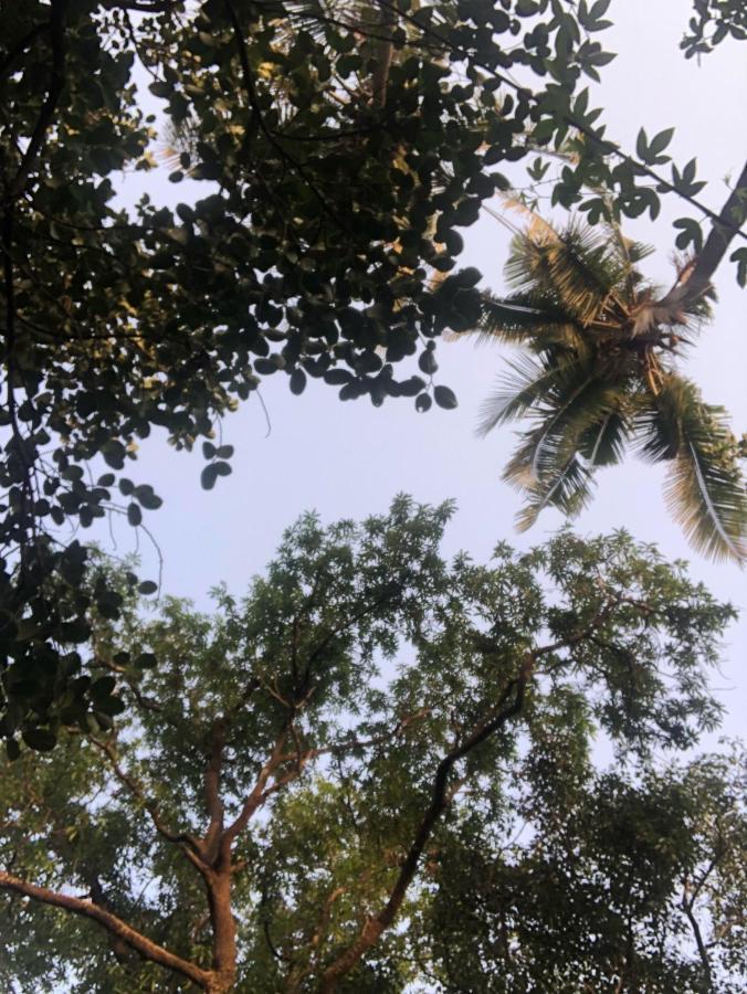 Silver Oaks * Lonavala