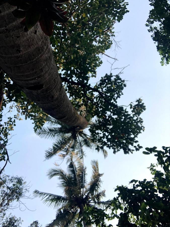Silver Oaks * Lonavala