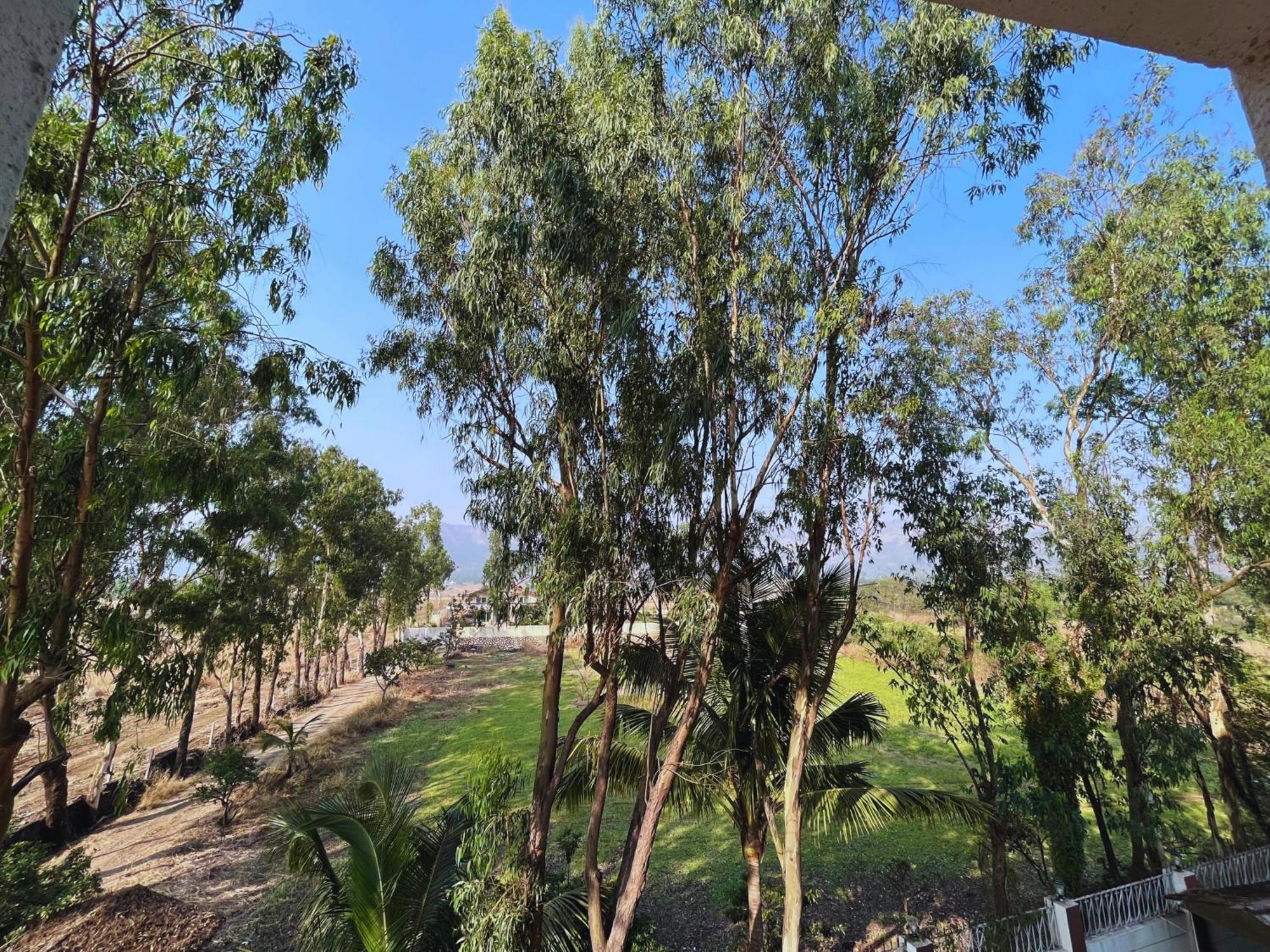 Olive Tree Resort, Resort Lonavala