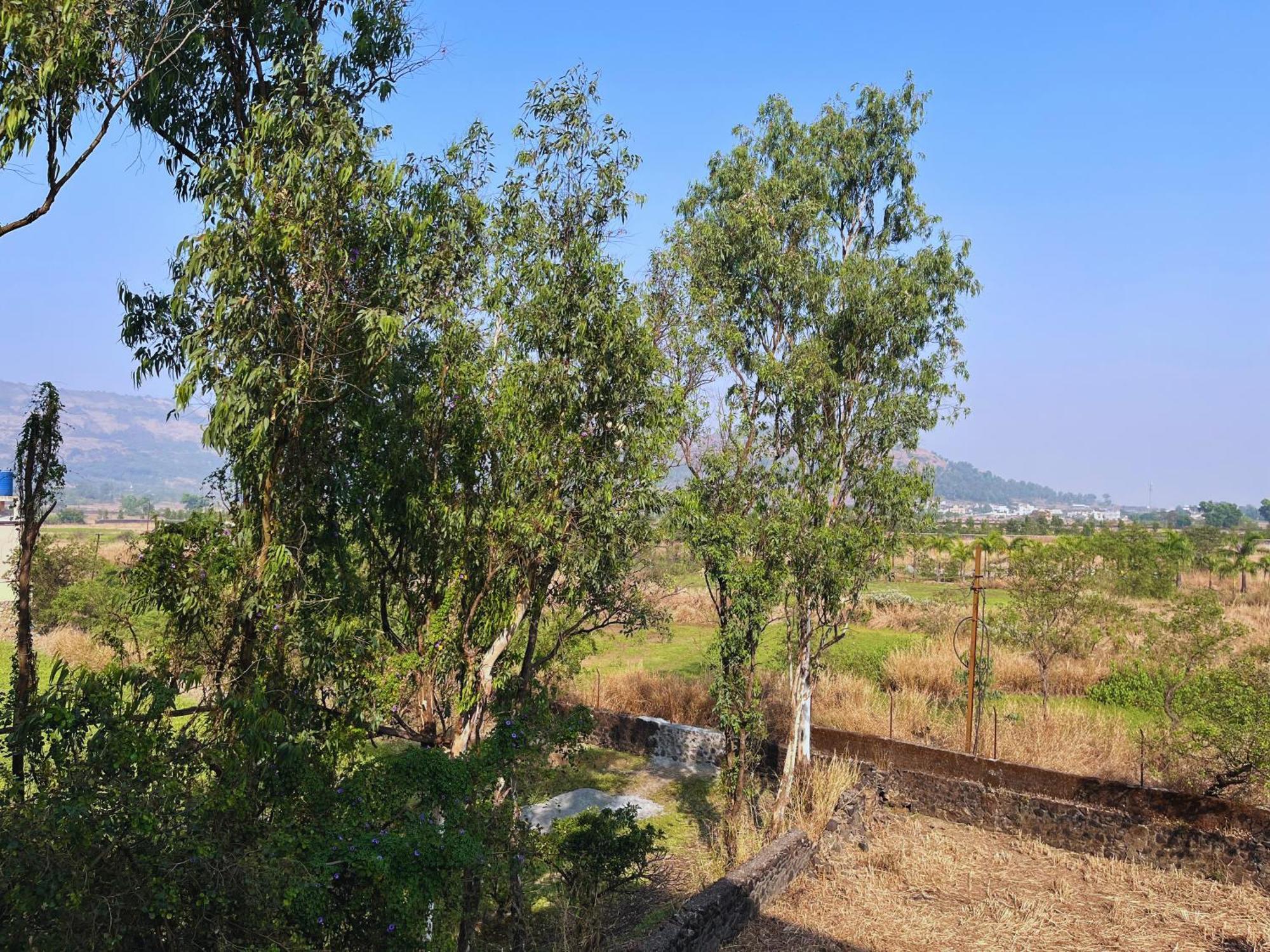 Olive Tree Resort, *