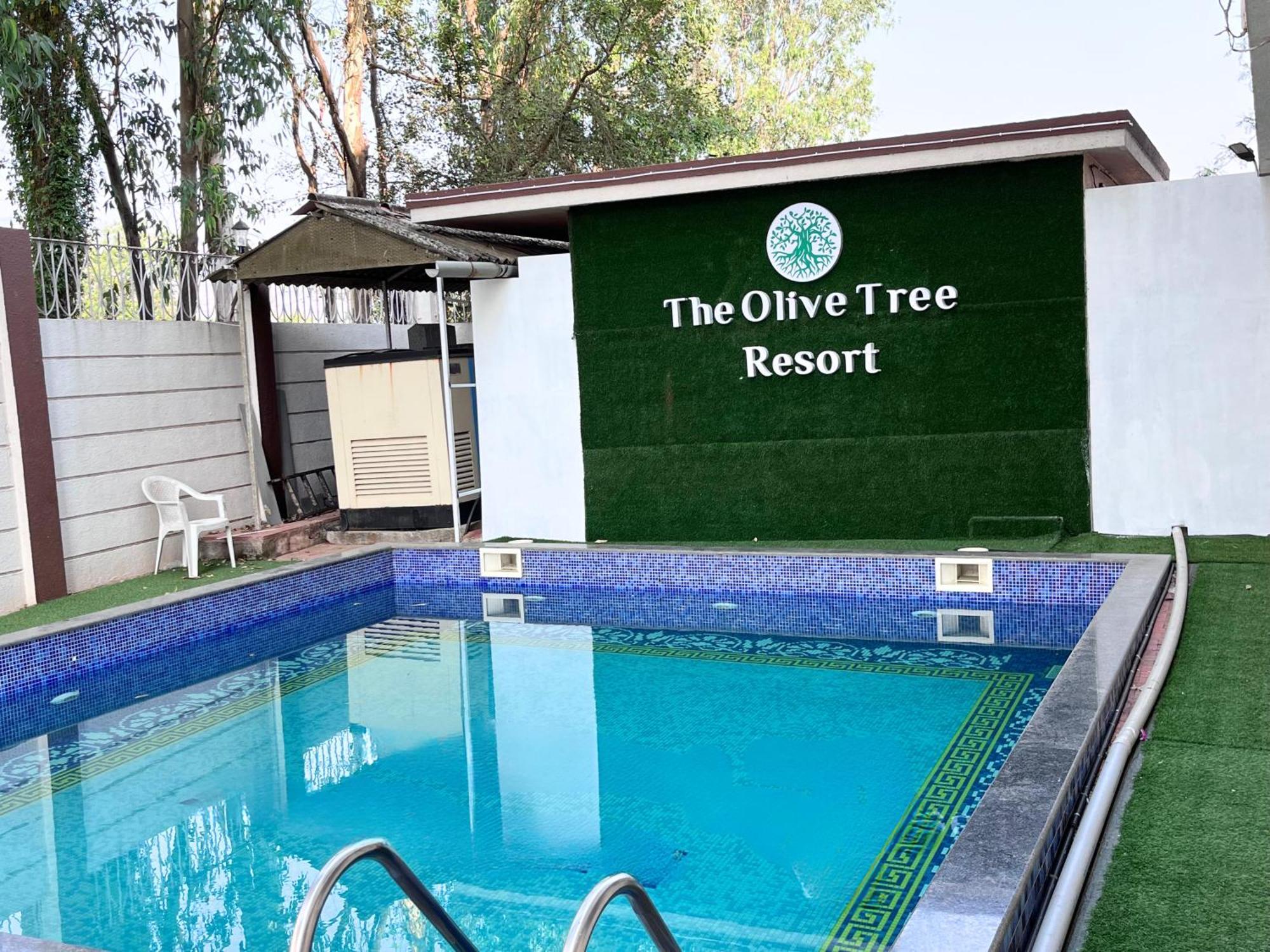 Resort Olive Tree Resort, *