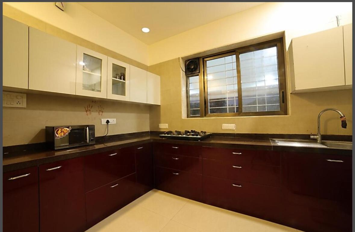 Apartment Mizzle Exotica
