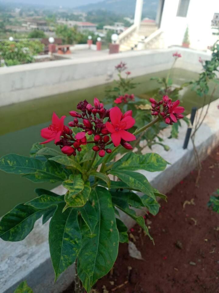 Colonial Pet Friendly 3 Bhk With Outstanding Views Lonavala
