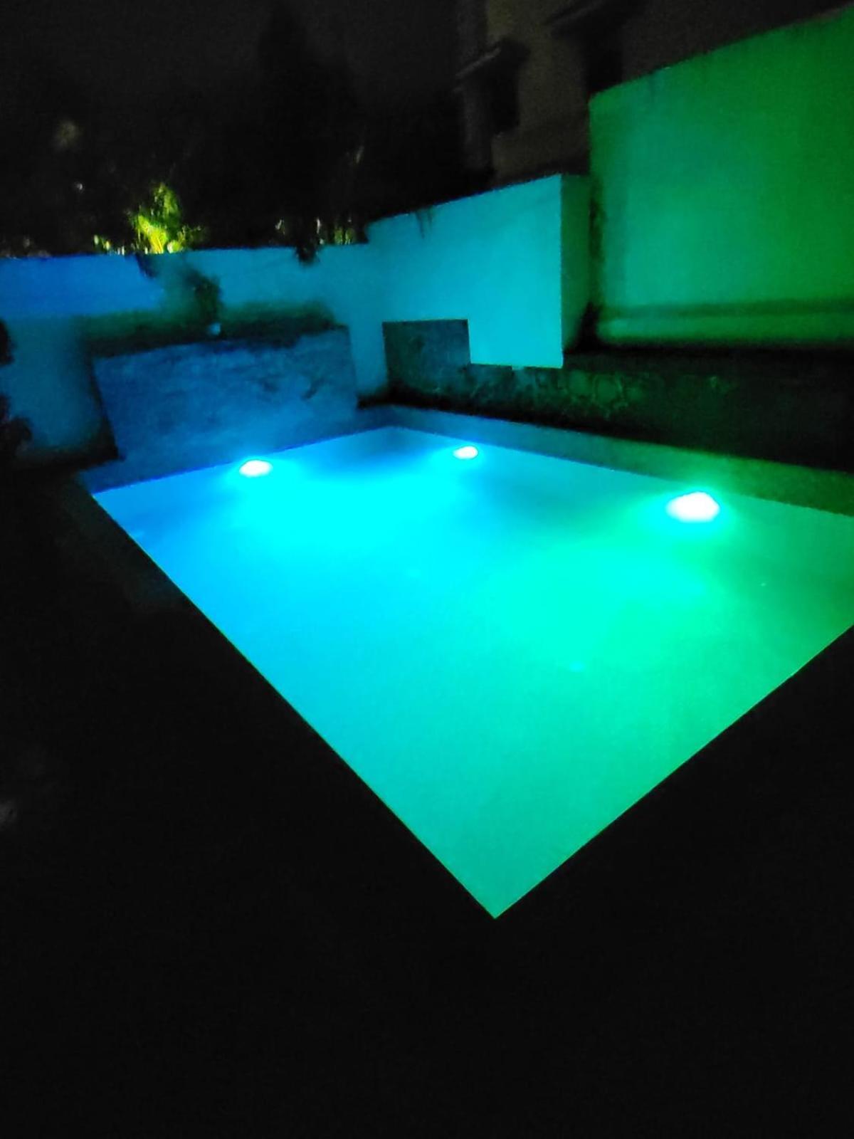 The Perfect Para Disco Big Pool Cricket Turf Villa
