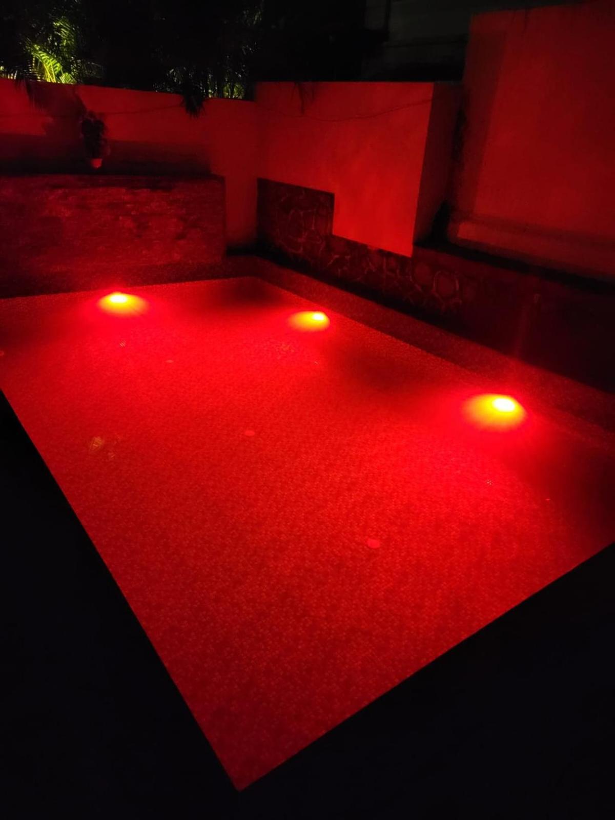 The Perfect Para Disco Big Pool Cricket Turf * Lonavala