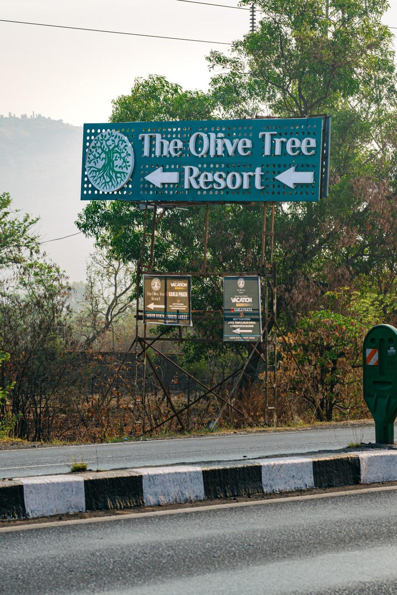Olive Tree Resort,