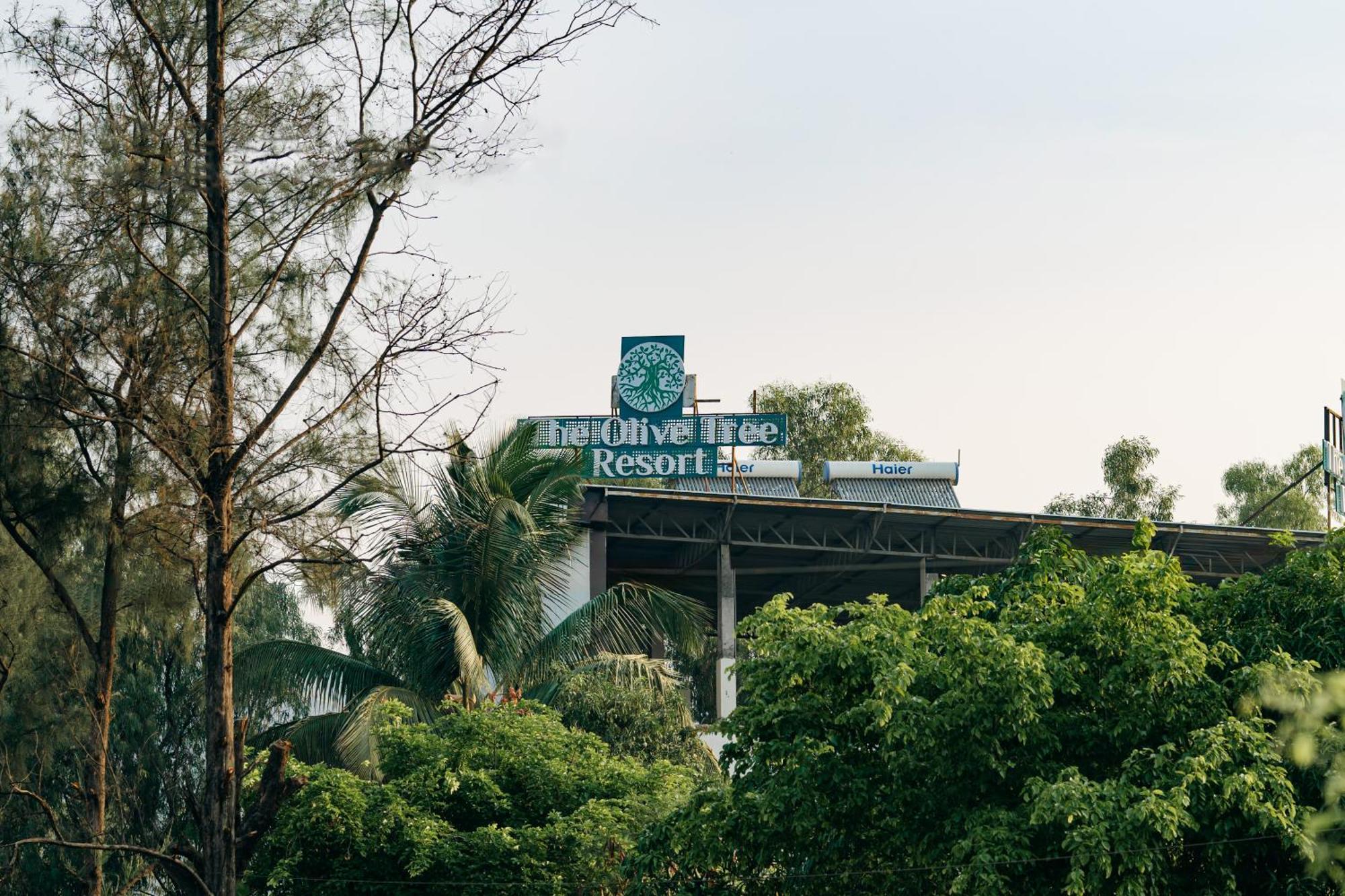 Olive Tree Resort, Resort