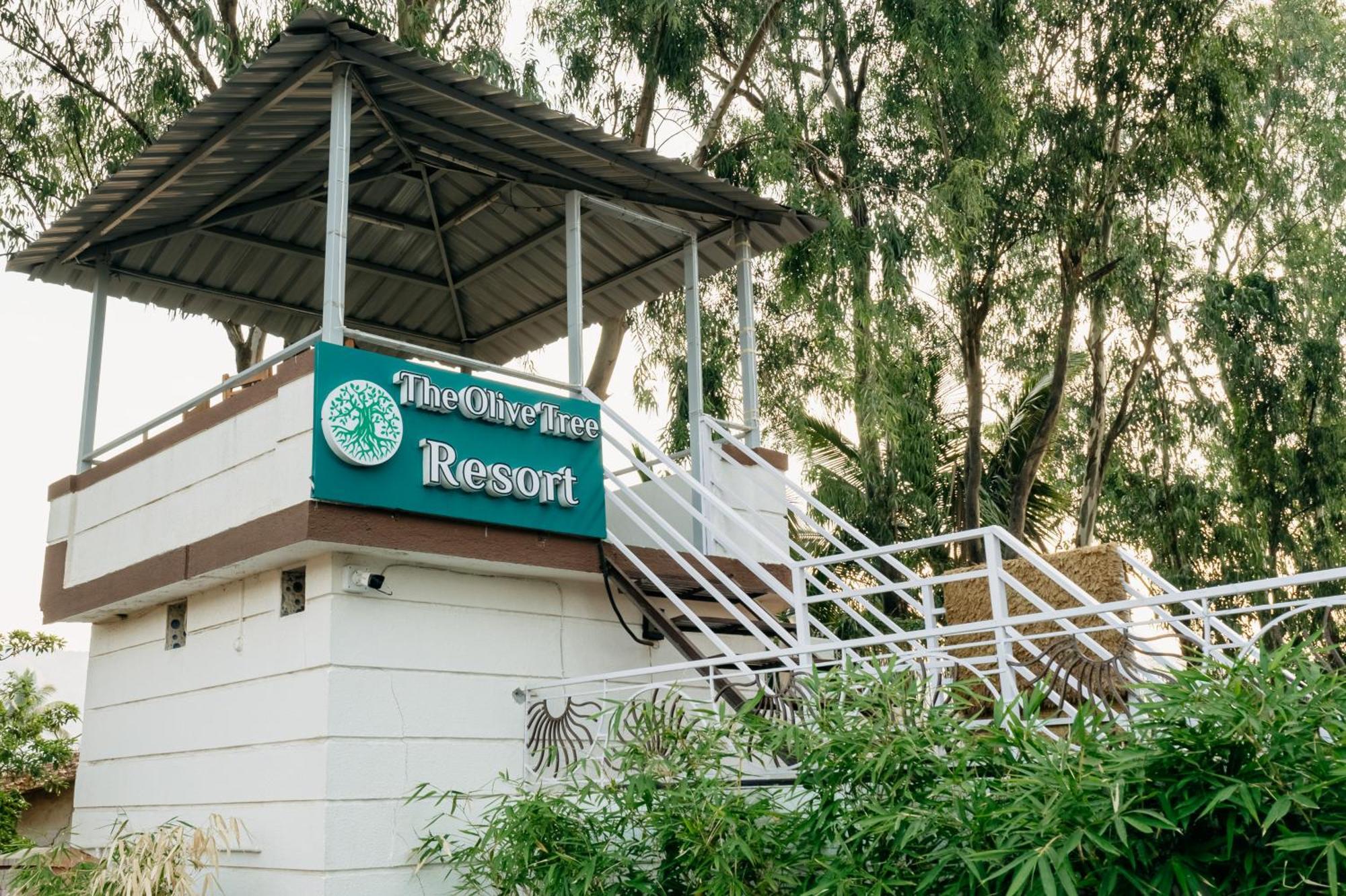 Olive Tree Resort, Resort