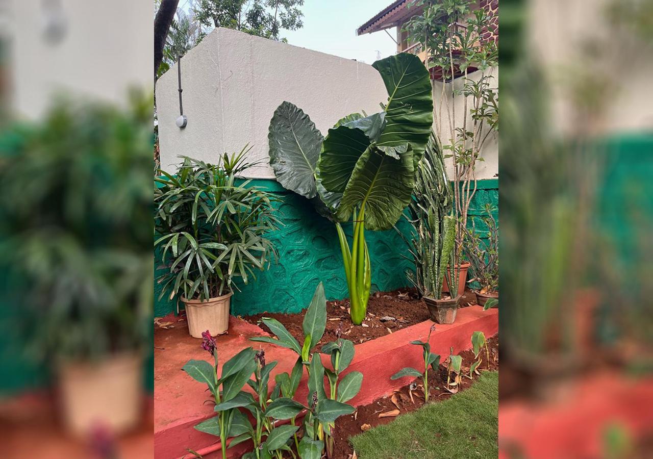 Angel House -your Private Pet Friendly Haven Villa *