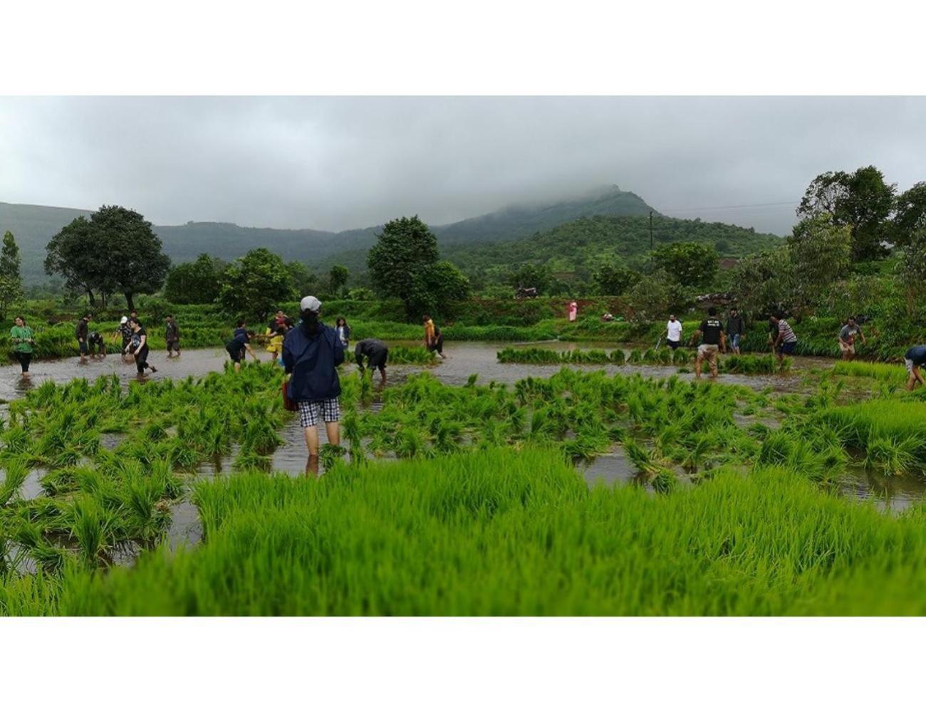 Anjanvel Agro Tourism, Homestay