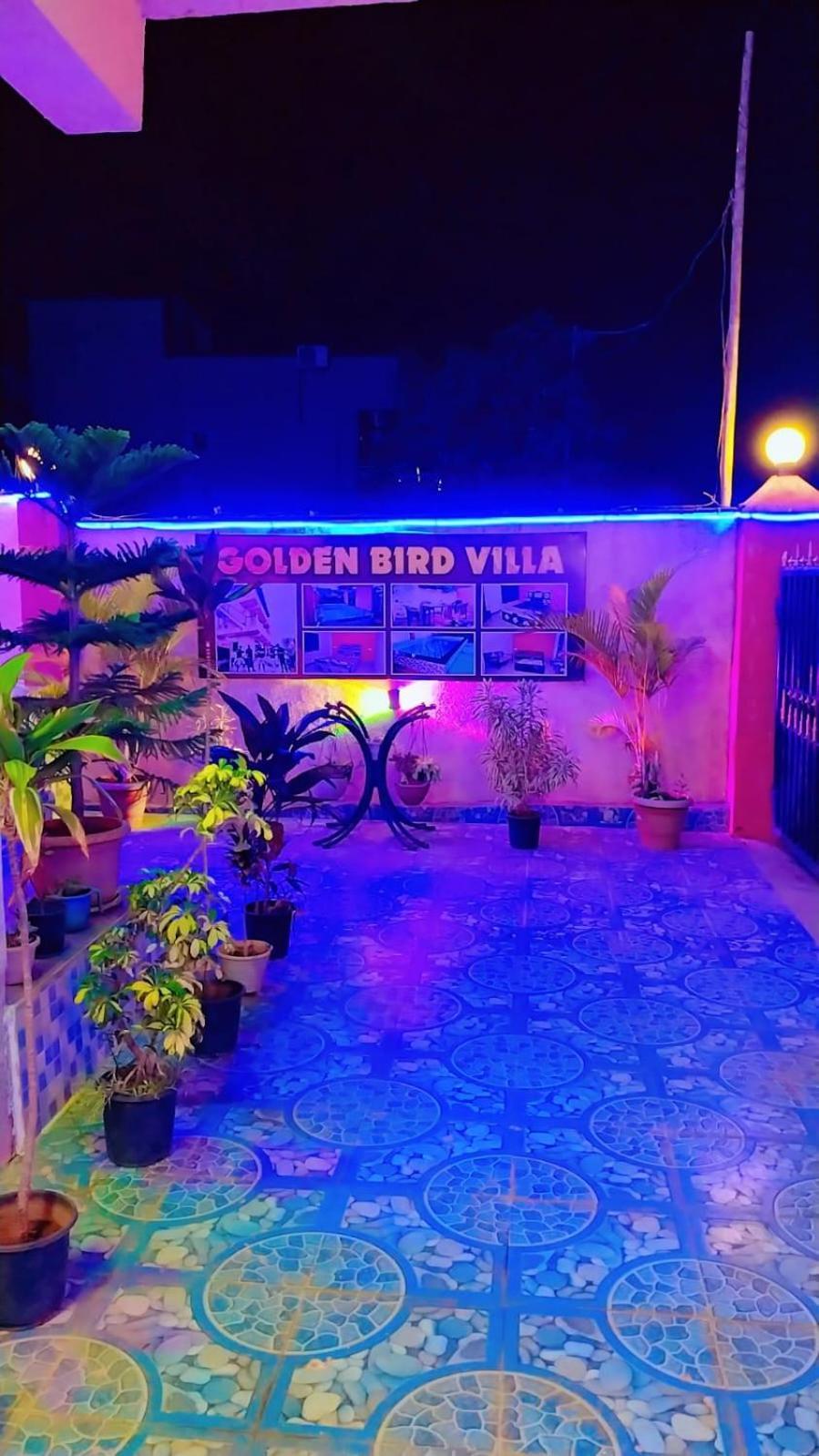 Golden Bird Gb Lonavala
