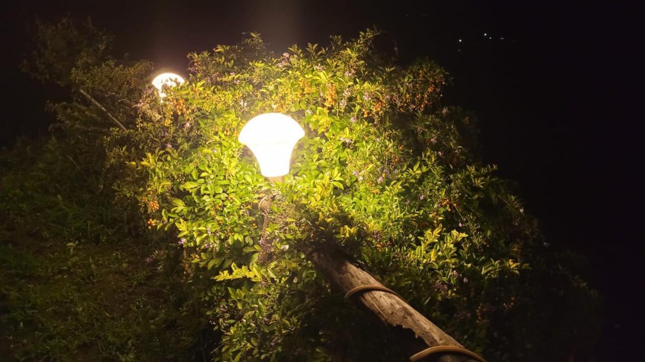 Glamp Of Dreams Luxury tent Lonavala