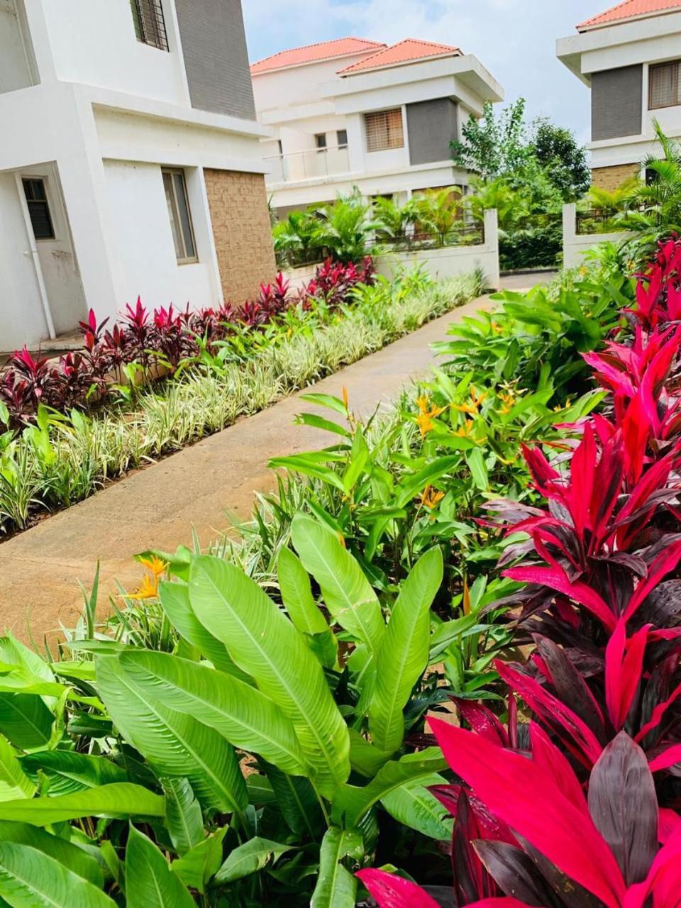 Apartment Mizzle Exotica *