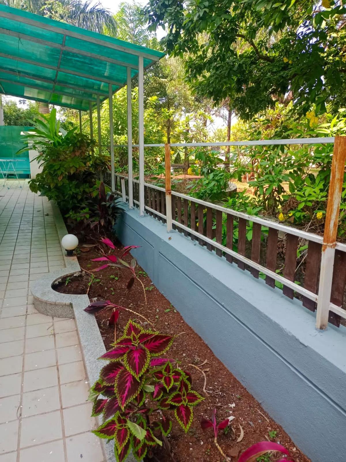 Woods By Mizzle Exotica Premium * Lonavala