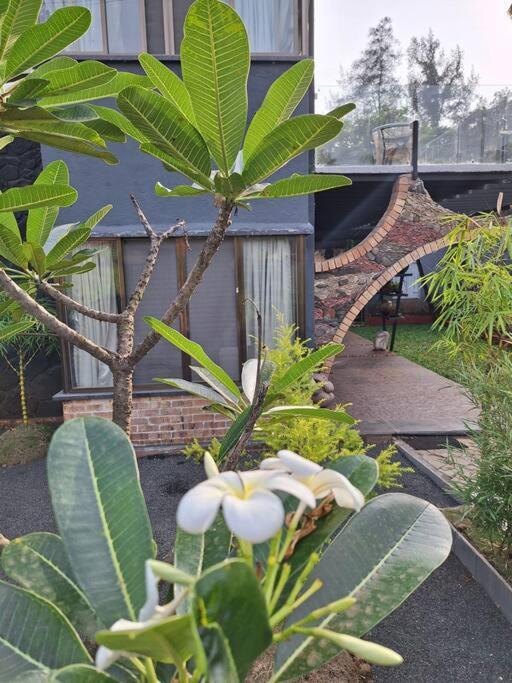 Villa Vivan Promise Of Serenity And Peacefulness