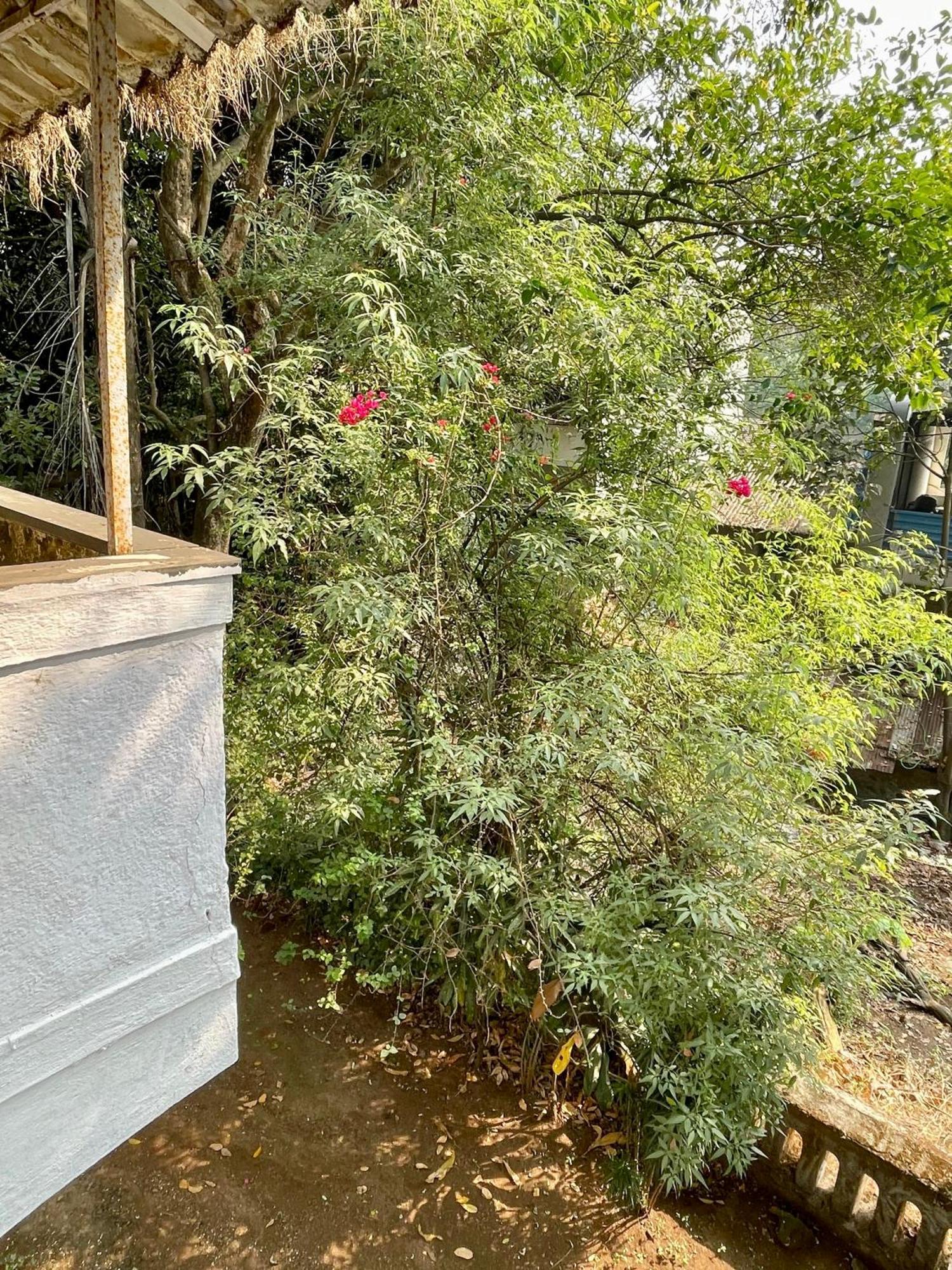 The Imperial Heritage Ii 2 Minutes From Station And Market Ii Deluxe Ac Ii Lonavala
