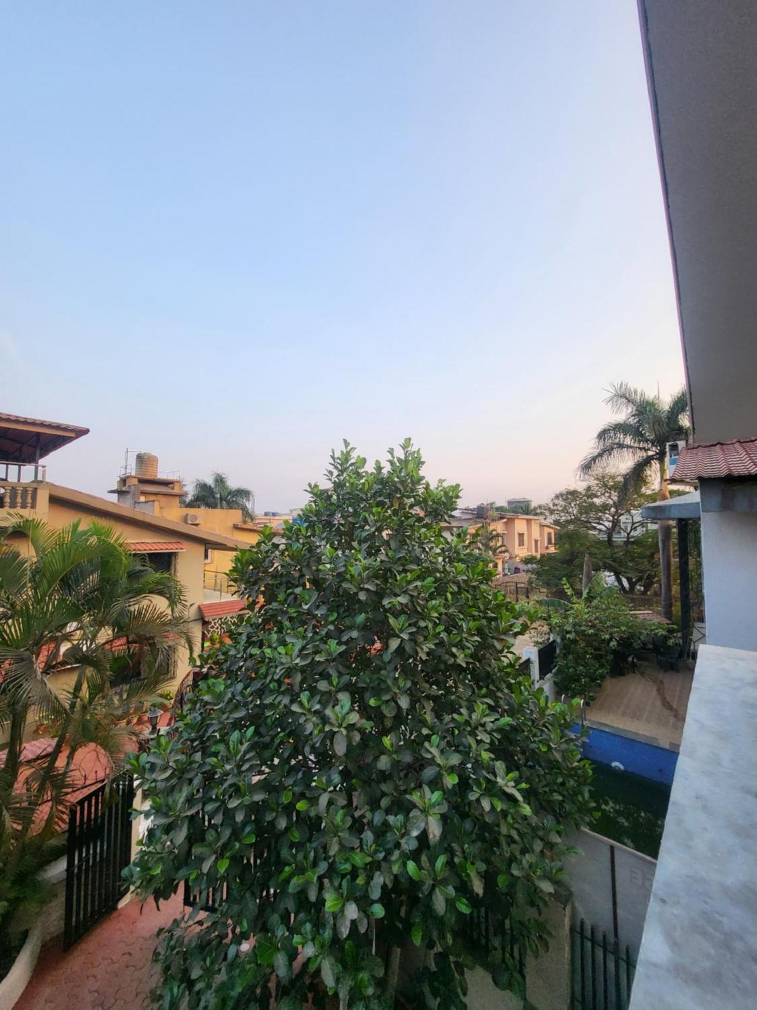 The Perfect Para Disco Big Pool Cricket Turf * Lonavala