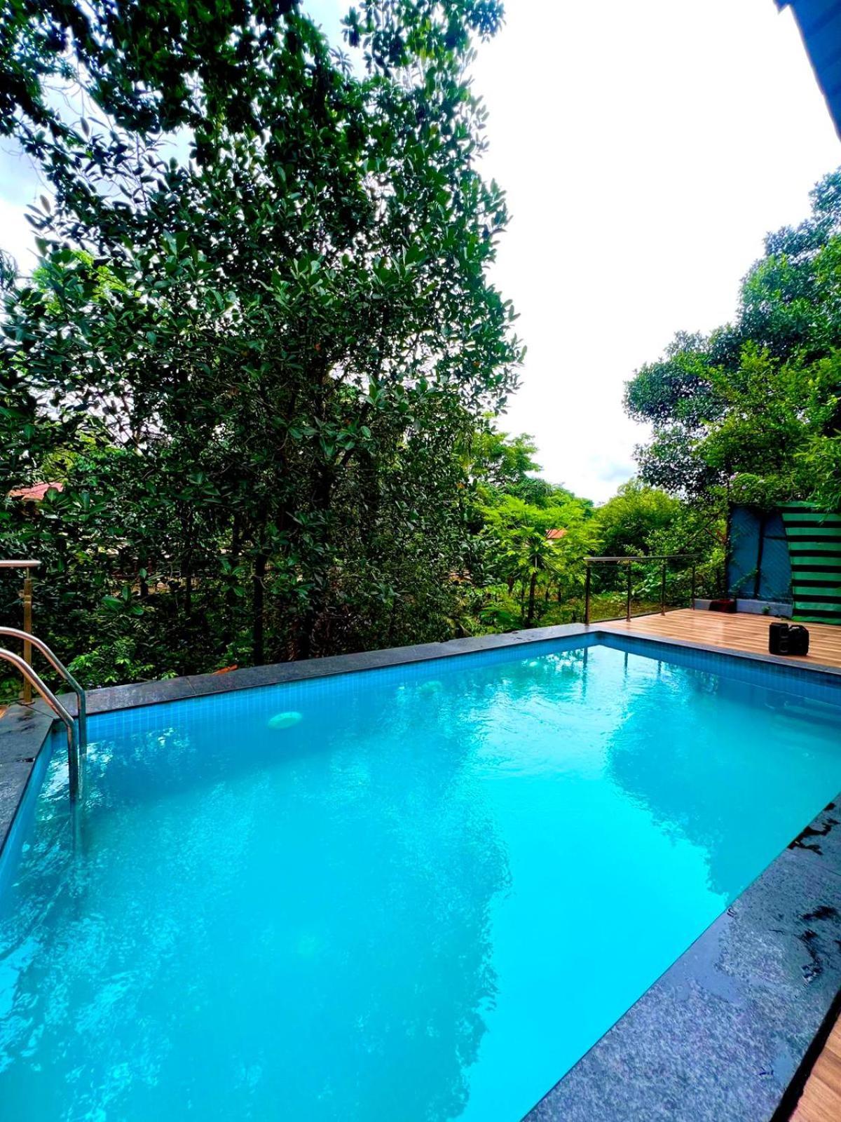 Villa Nature View - The Dream Ll Infinity Big Pool Lonavala