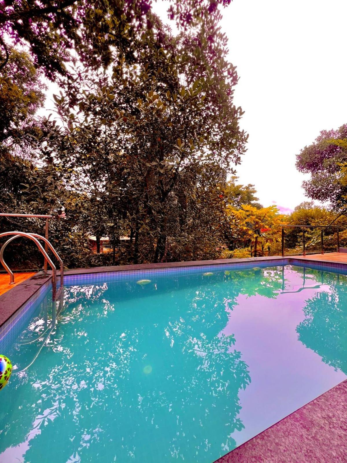 Nature View - The Dream Ll Infinity Big Pool
